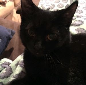 Meet your Posher, Lorinda